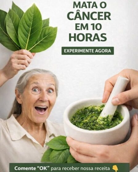 Folha de graviola, a folha que DESTRÓI as células cancerígenas