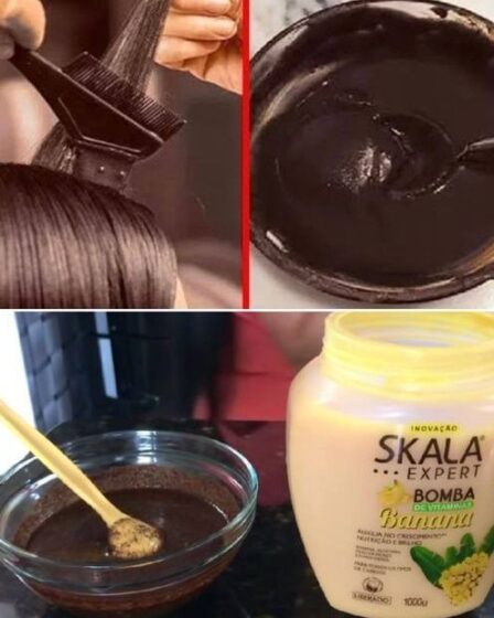 Tinta natural para cabelos brancos, faça em poucos minutos