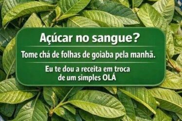 Chá de goiaba para abaixar o açúcar no sangue