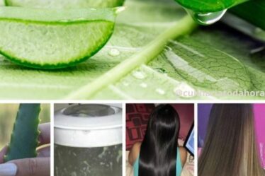 Hidratante de Cabelo com Babosa: Recupere e Revitalize seus Fios de Forma Natural