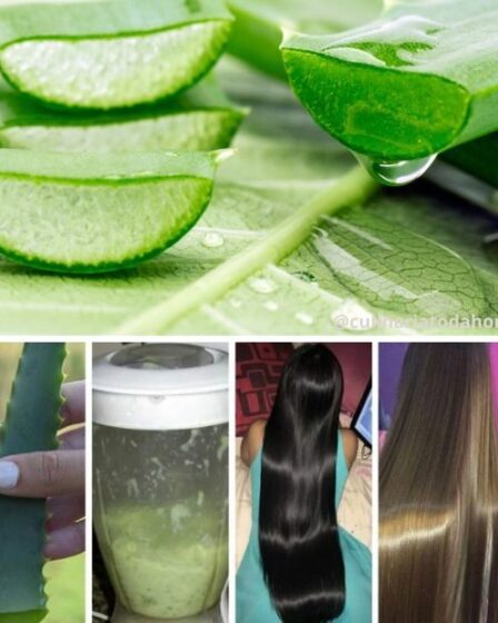 Hidratante de Cabelo com Babosa: Recupere e Revitalize seus Fios de Forma Natural