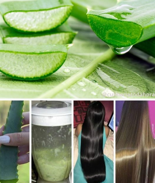 Hidratante de Cabelo com Babosa: Recupere e Revitalize seus Fios de Forma Natural